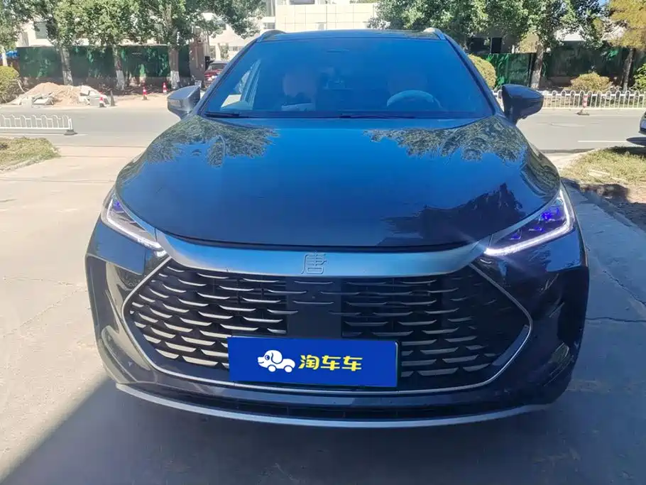 BYD Tang New Energy — миниатюра 2