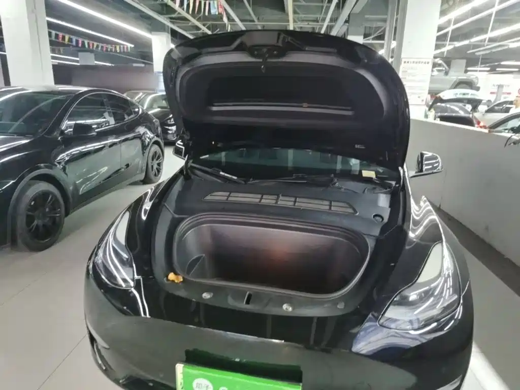 Tesla Model Y — миниатюра 20