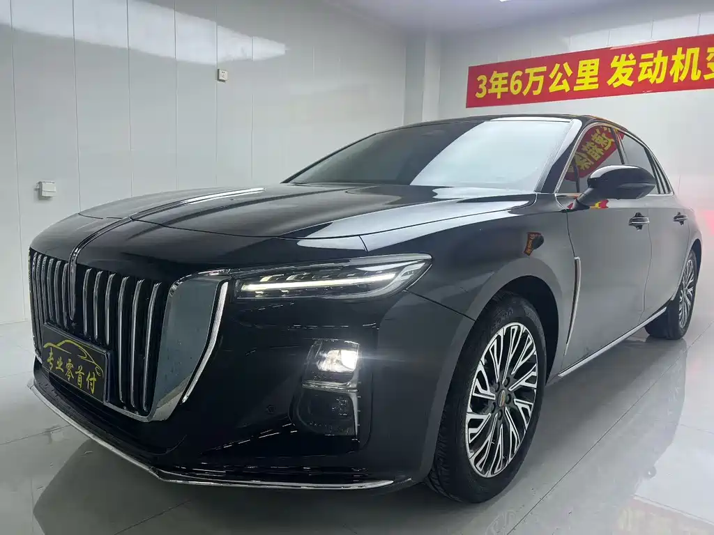 Hongqi Hongqi H5 2024