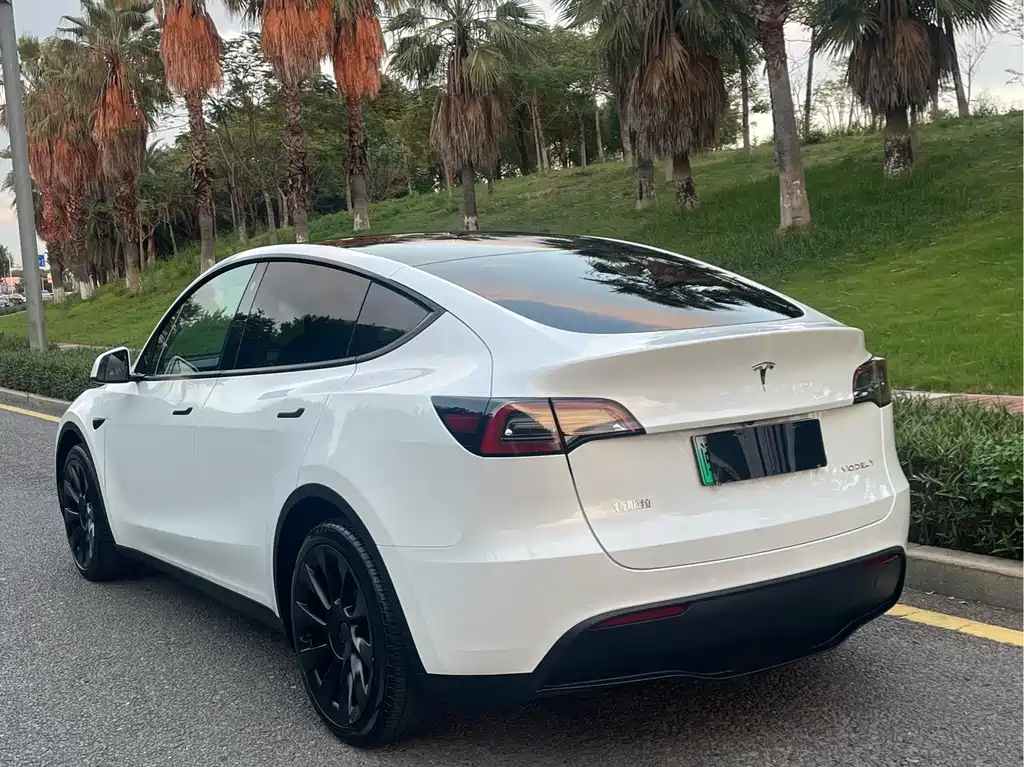 Tesla Model Y — миниатюра 5