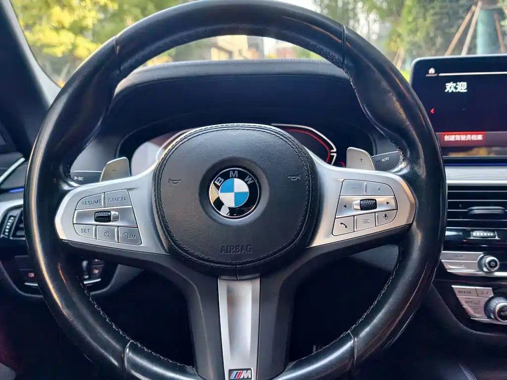 BMW 5 Series — миниатюра 18