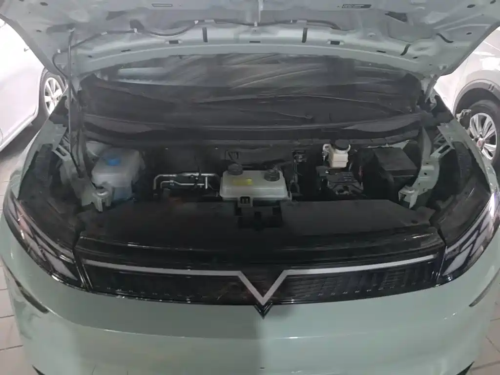 Venucia VX6 — миниатюра 20