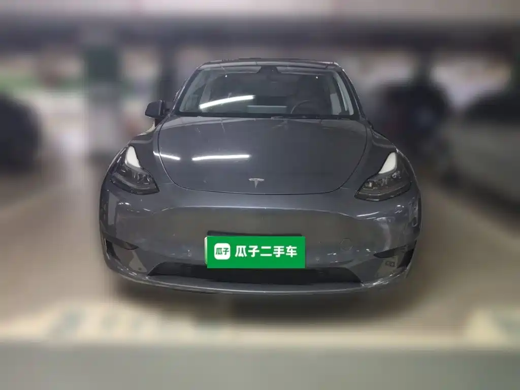 Tesla Model Y — миниатюра 2