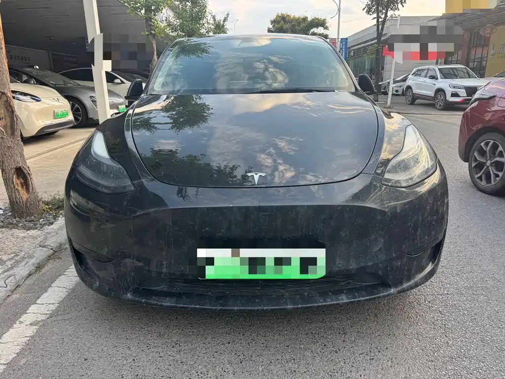 Tesla Model Y — миниатюра 2