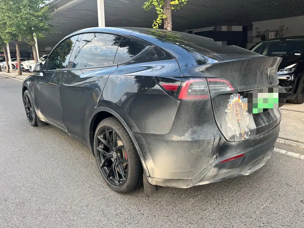 Tesla Model Y — миниатюра 11