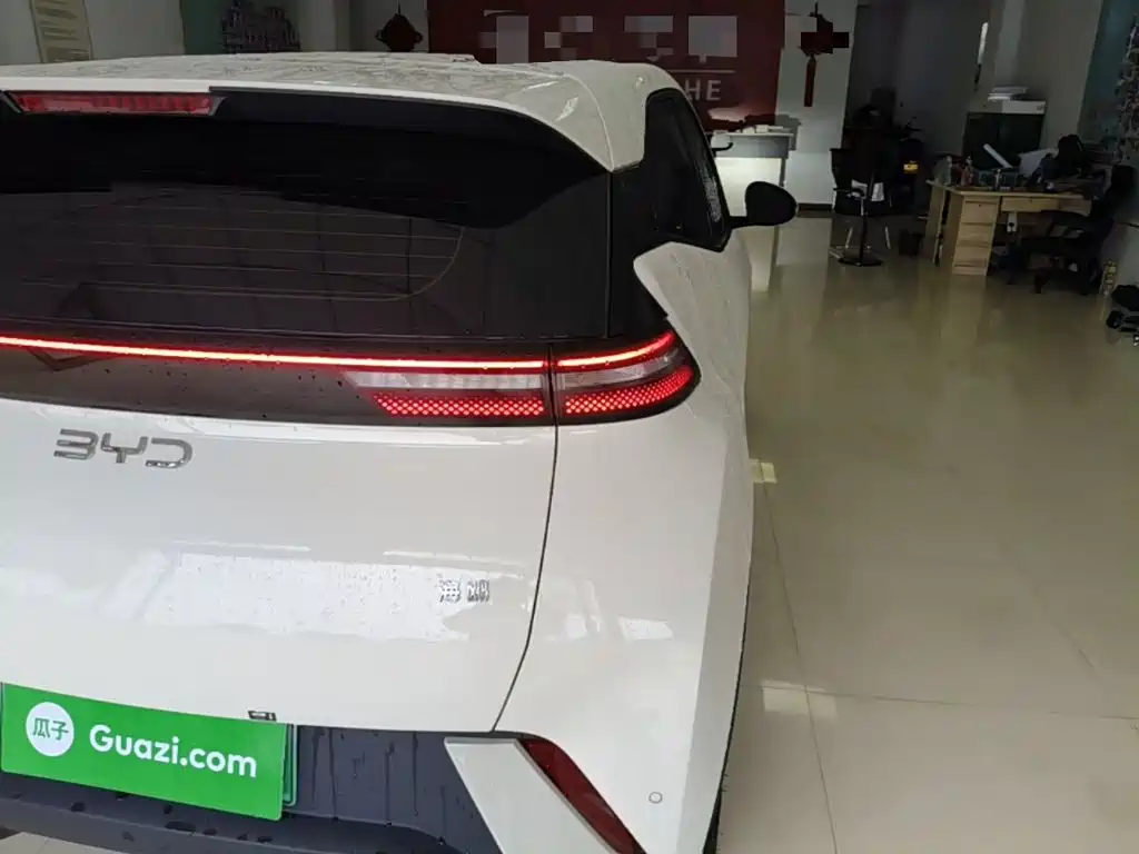 BYD Seagull 2025 305km Freedom