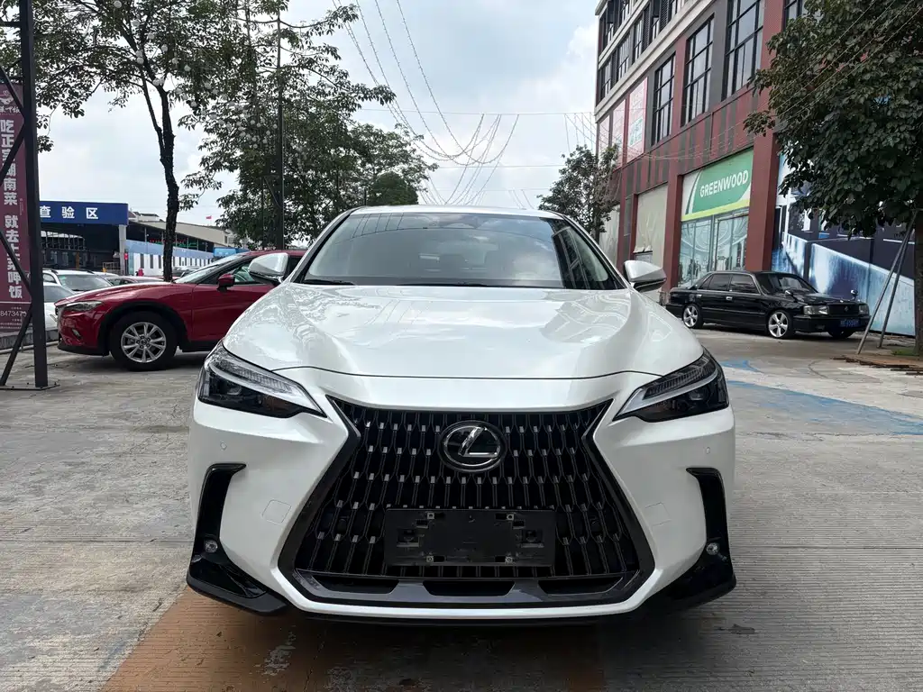 Lexus NX 2022 260
