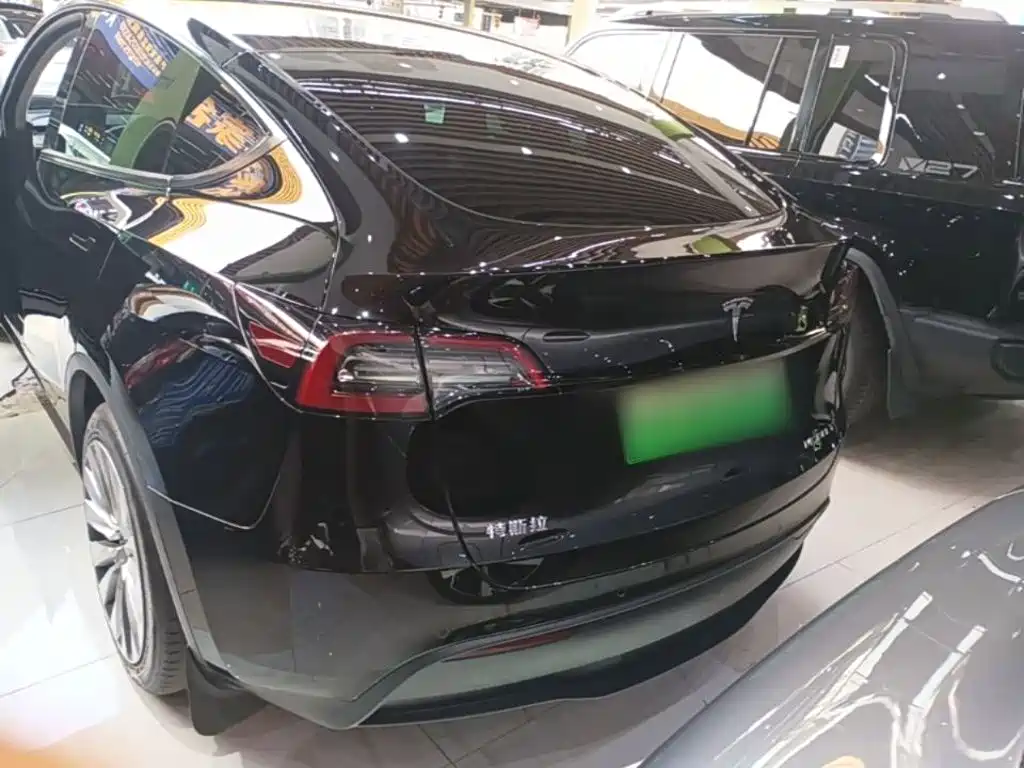 Tesla Model Y — миниатюра 6
