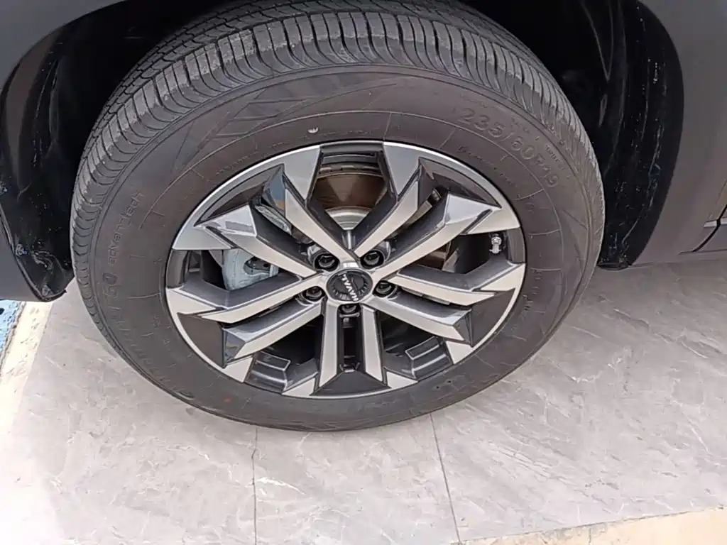 Haval Big Dog — миниатюра 23