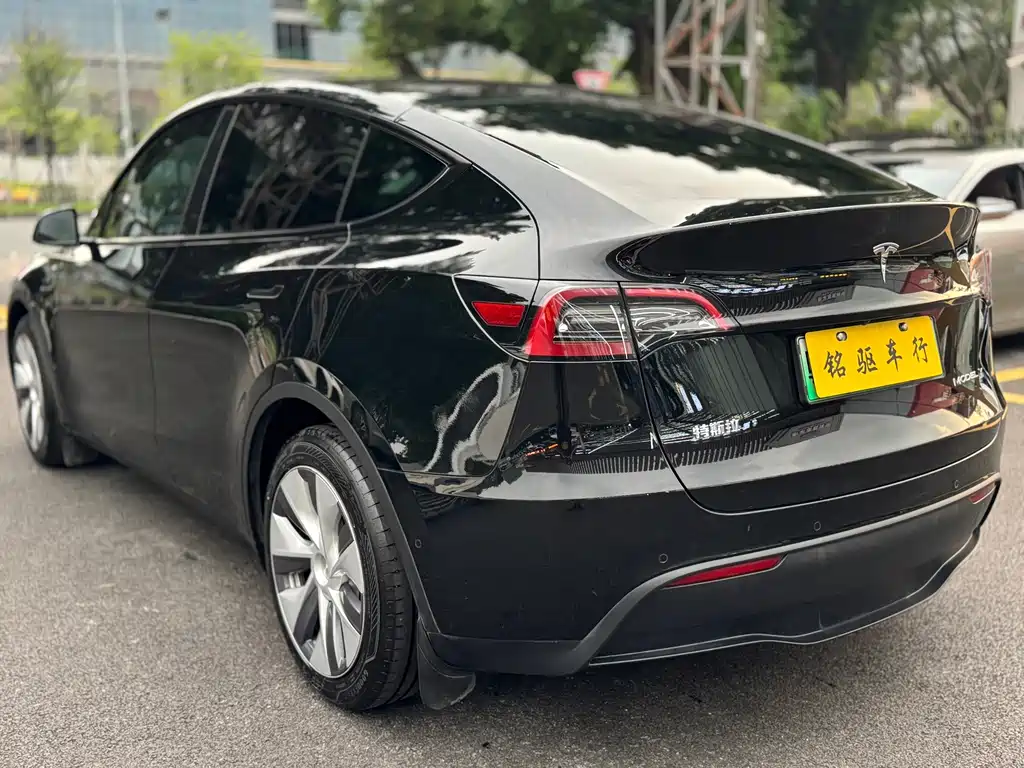 Tesla Model Y — миниатюра 5