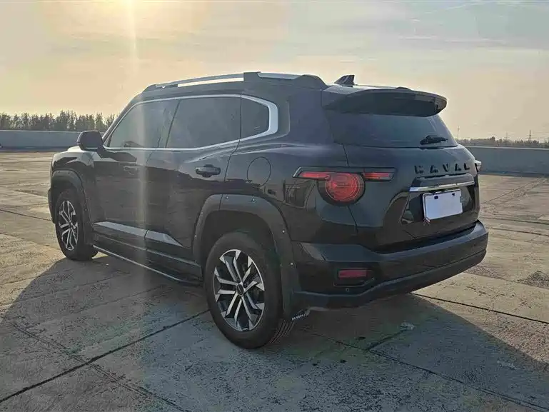 Haval Big Dog PLUS — миниатюра 6
