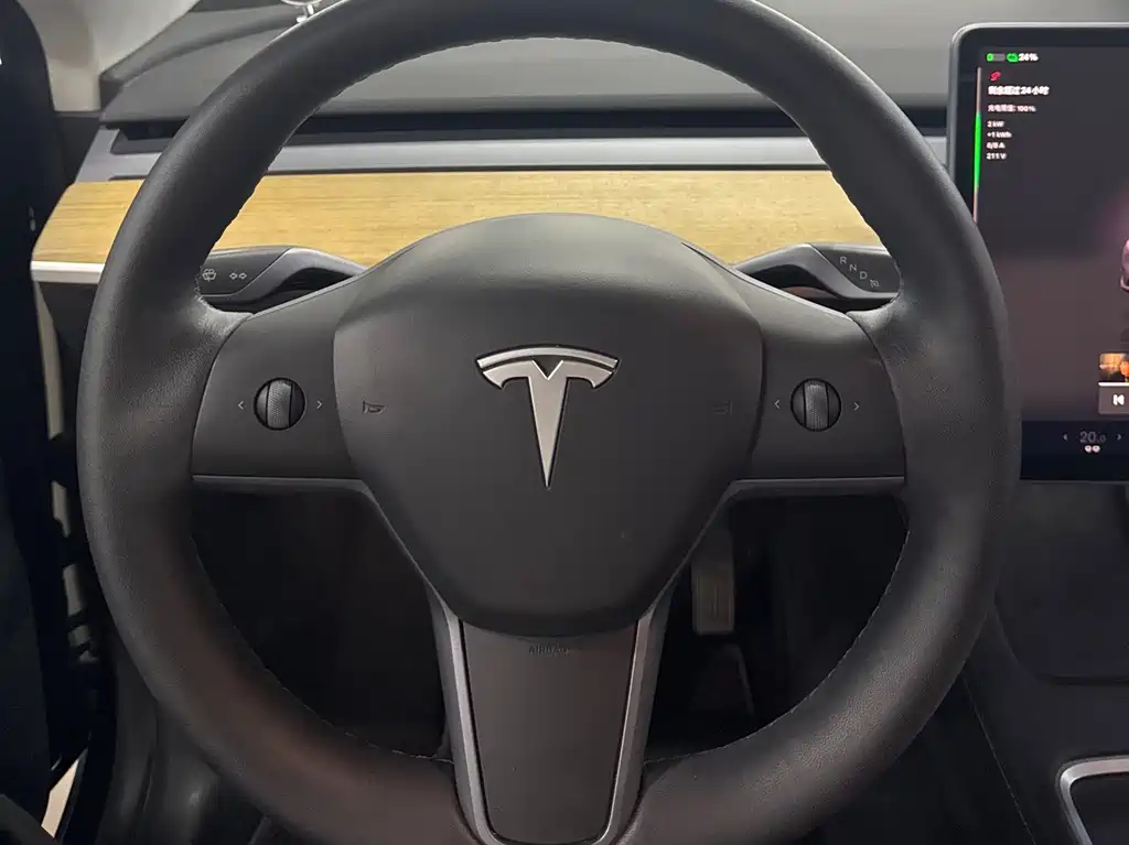 Tesla Model Y — фотографии объявления, Фото 14