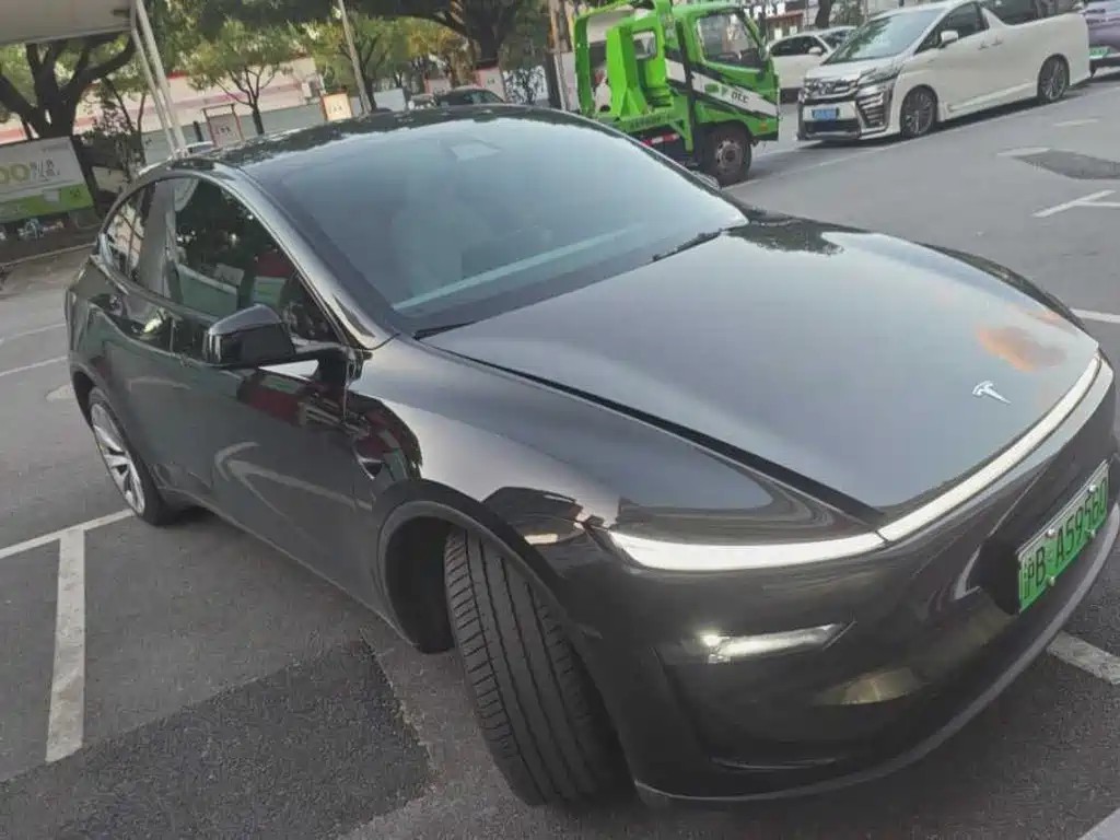 Tesla Model Y — миниатюра 2