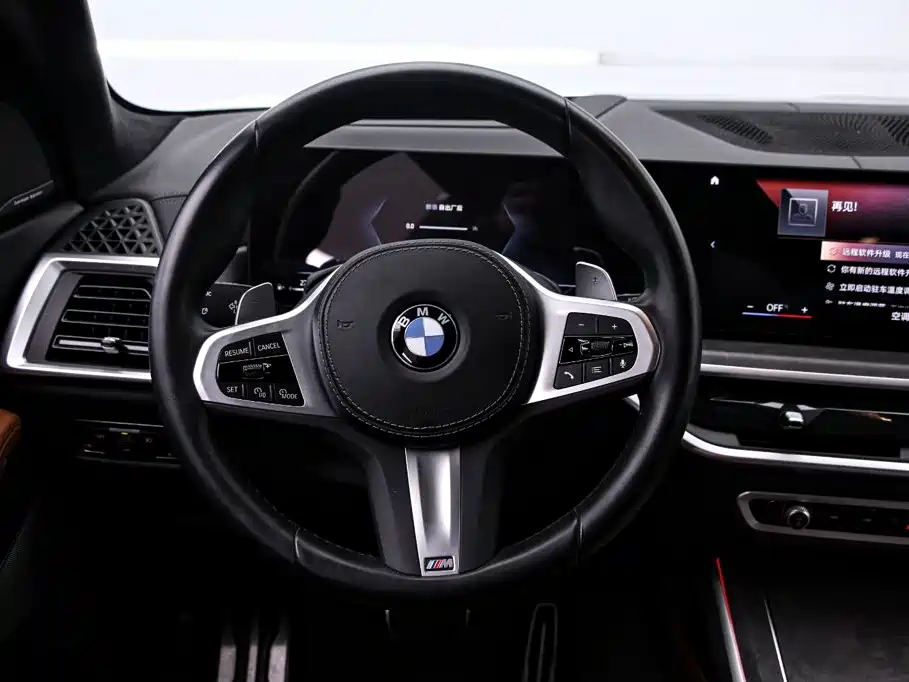 BMW X7 — миниатюра 7