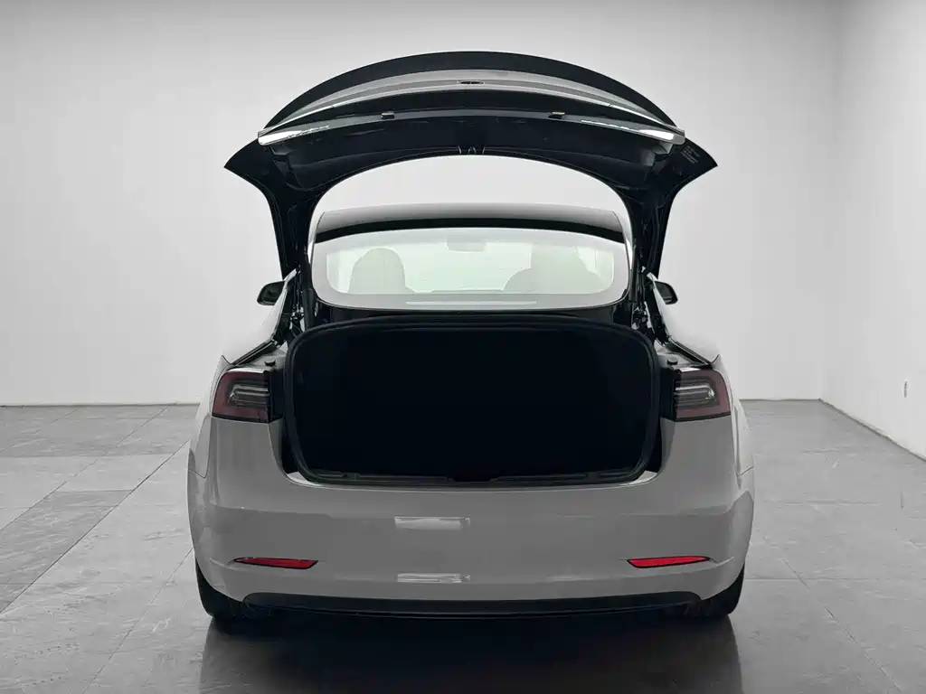 Tesla Model 3 — миниатюра 14