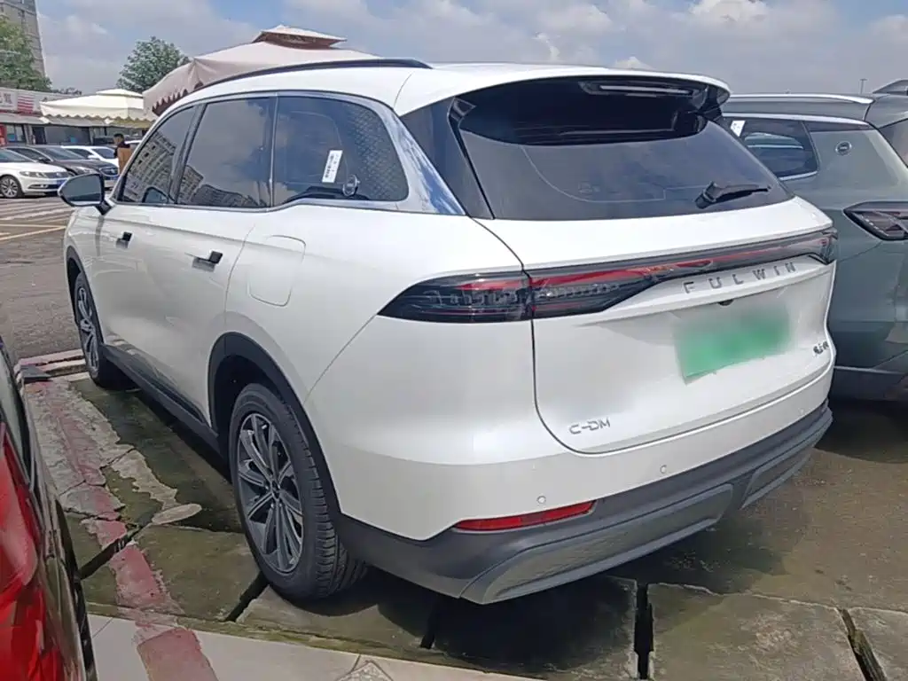 Fulwin Fengyun T9 — миниатюра 5