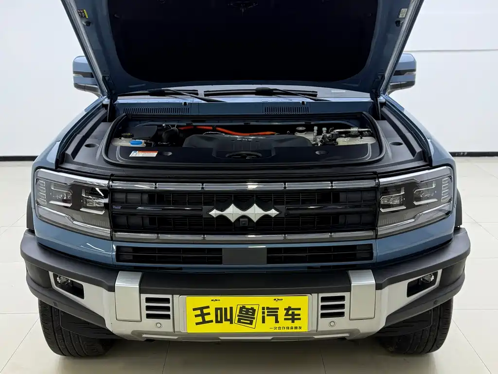 FANG CHENG BAO LEOPARD 5