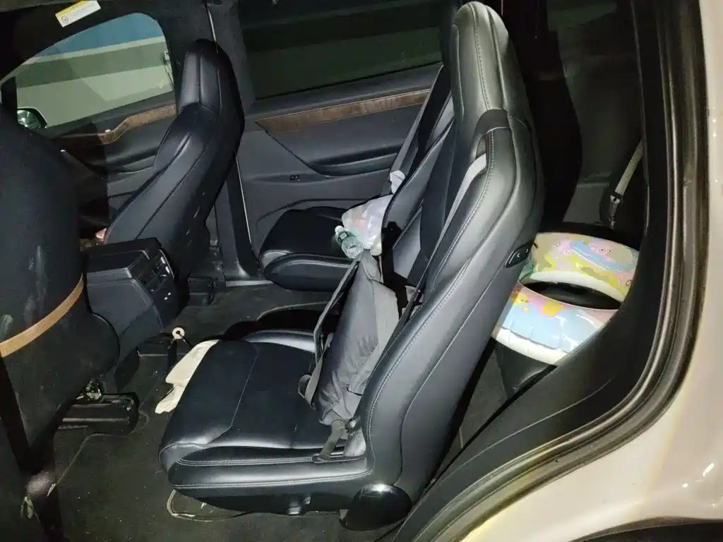 Tesla Model X — миниатюра 15