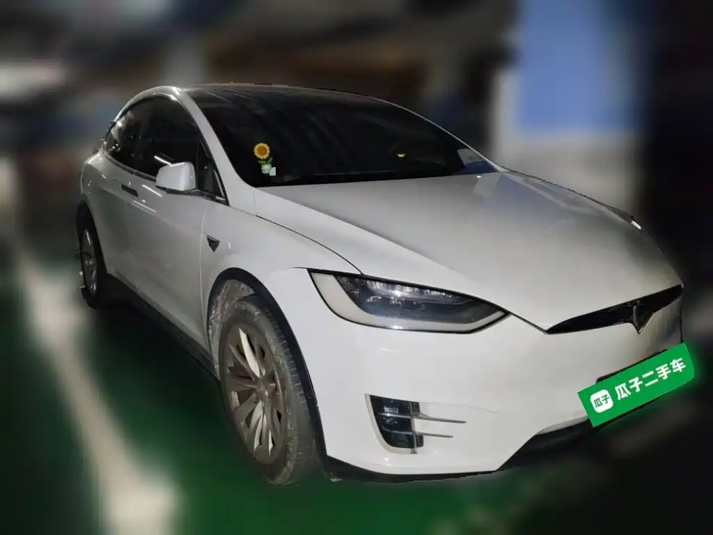 Tesla Model X — миниатюра 24