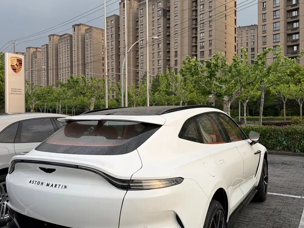Aston Martin DBX — миниатюра 7