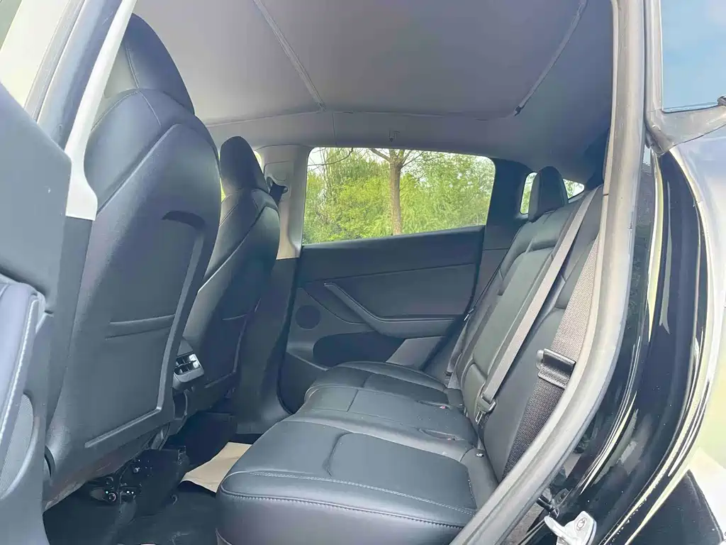 Tesla Model Y — миниатюра 9