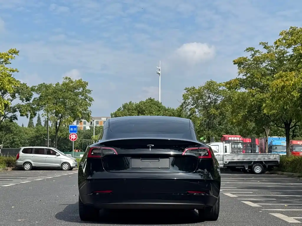Tesla Model 3 — миниатюра 12