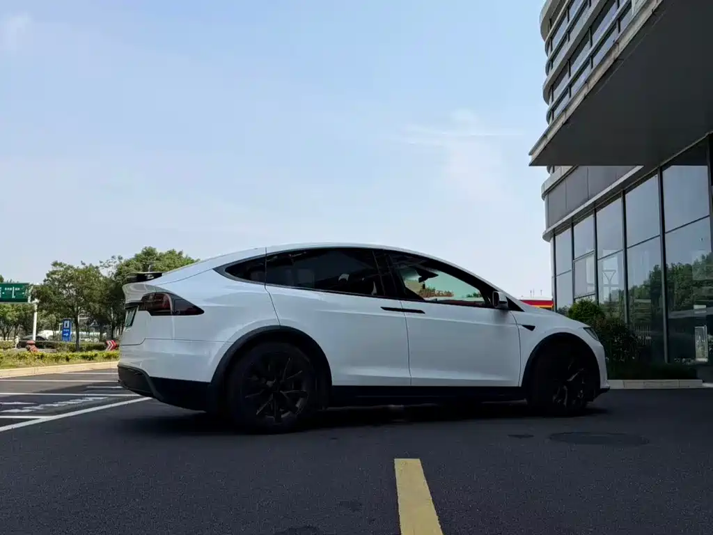 Tesla Model X — миниатюра 6