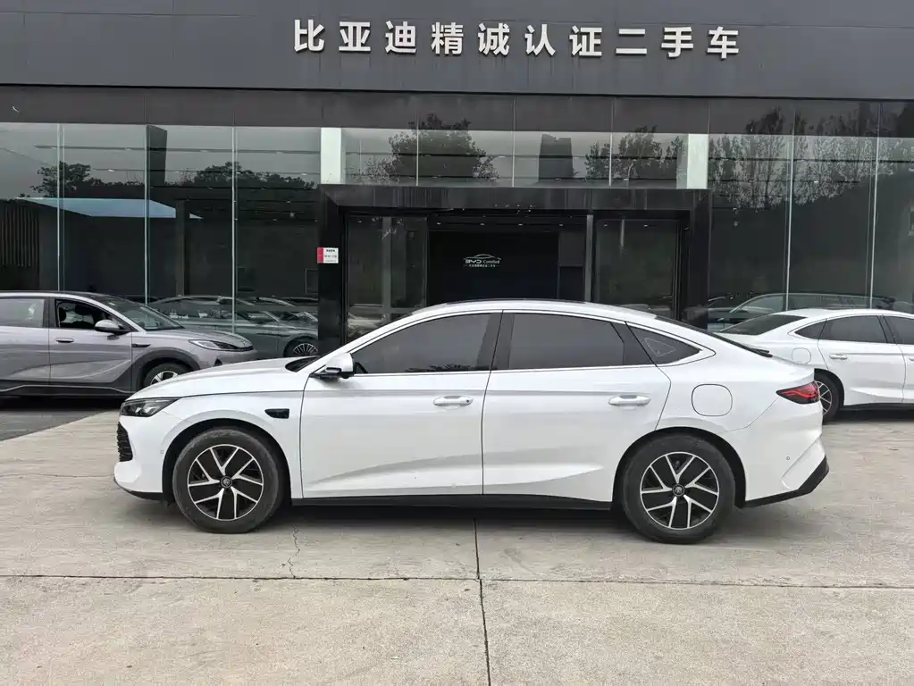 BYD Qin L — миниатюра 3