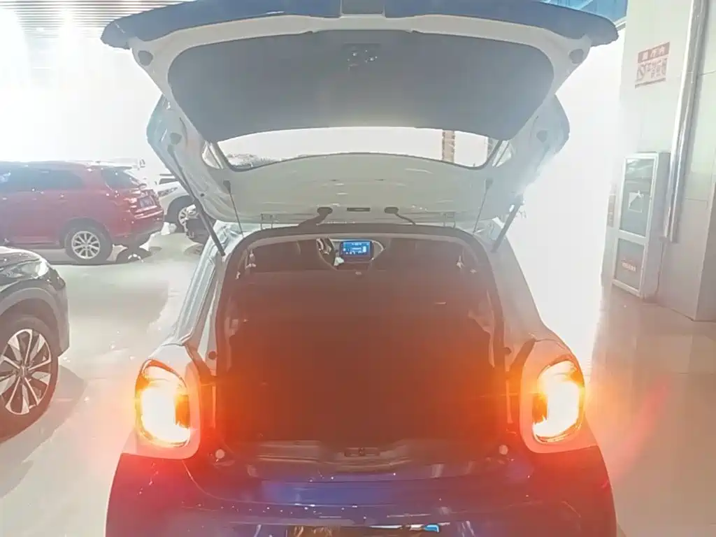 smart Smart Forfour — миниатюра 19