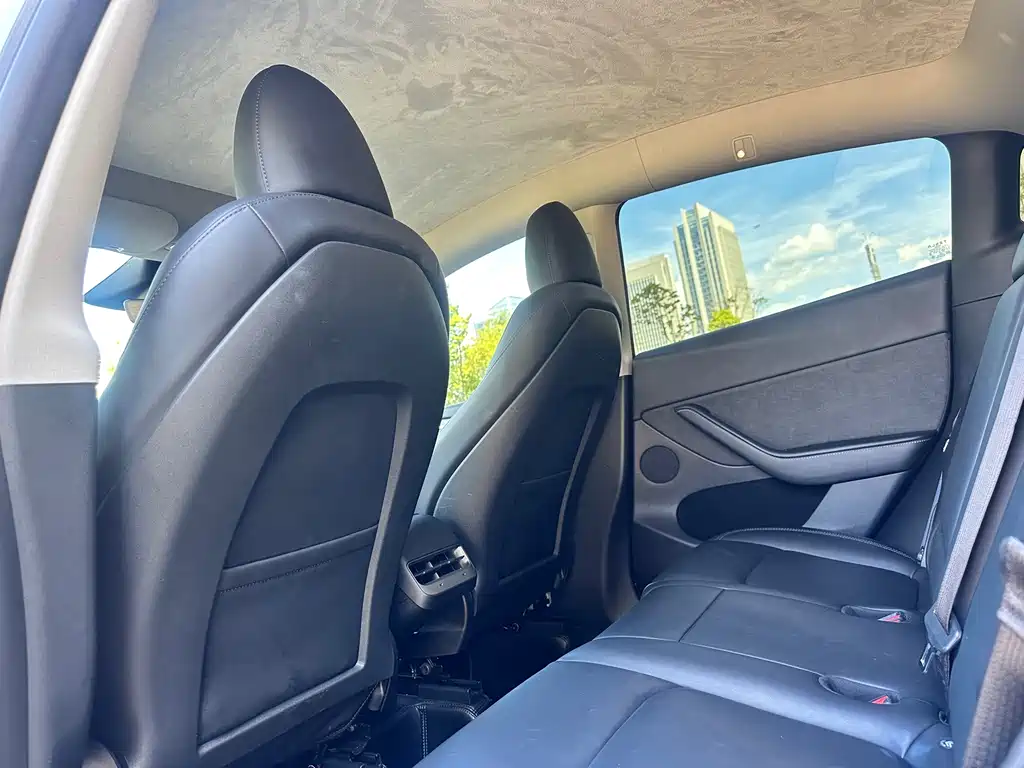 Tesla Model Y — миниатюра 6