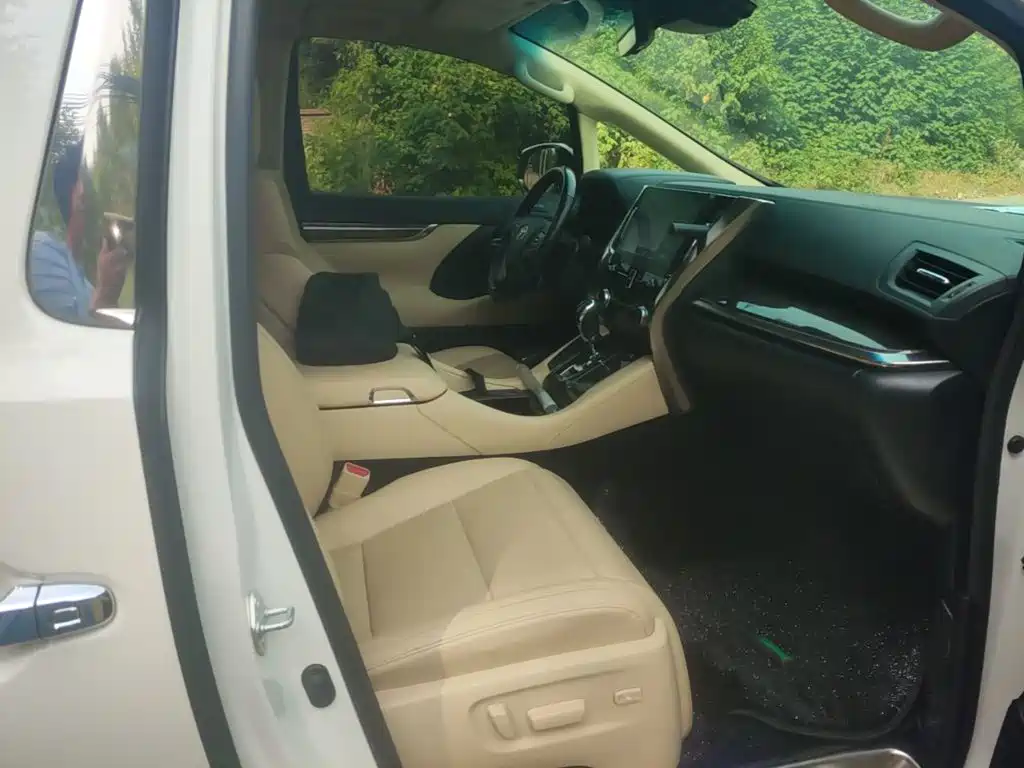 Toyota Alphard — миниатюра 25