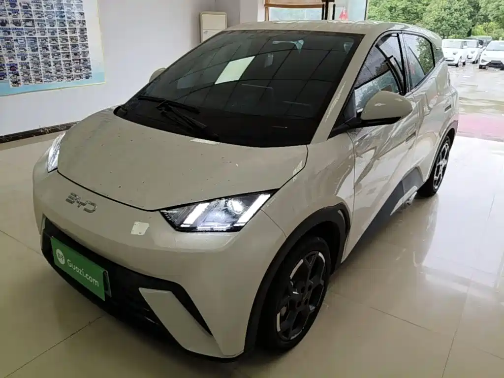 BYD Seagull 2025 305km Freedom