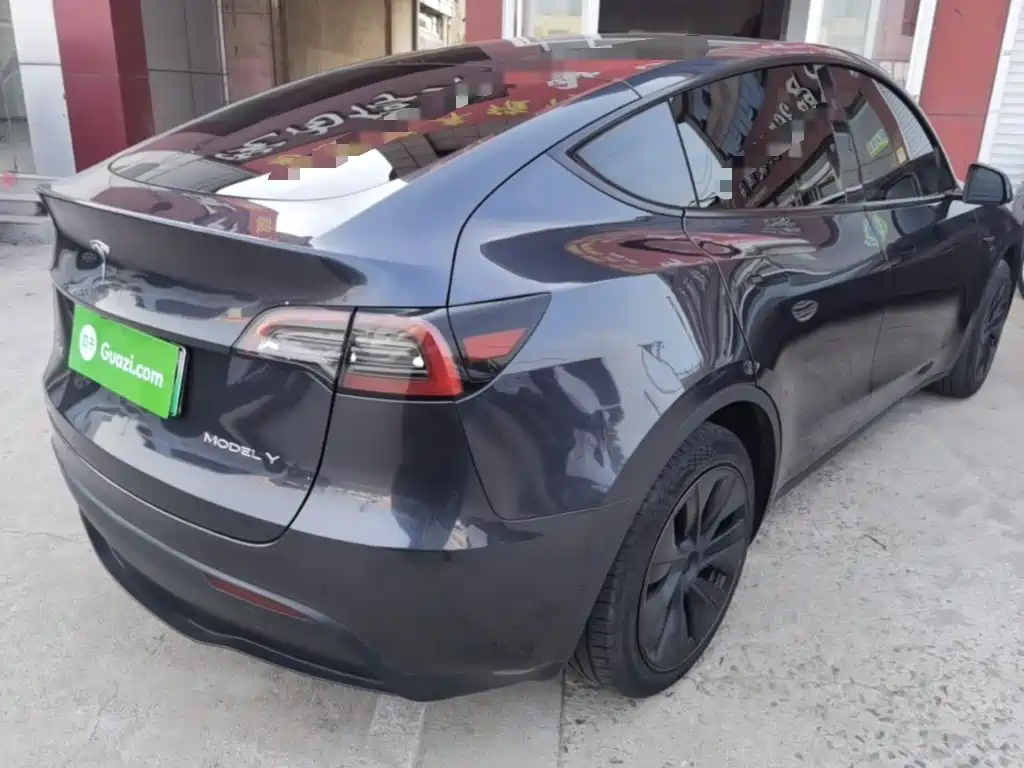 Tesla Model Y — миниатюра 7