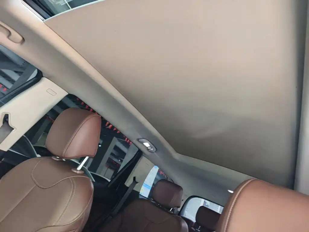 Buick GL6 — миниатюра 18