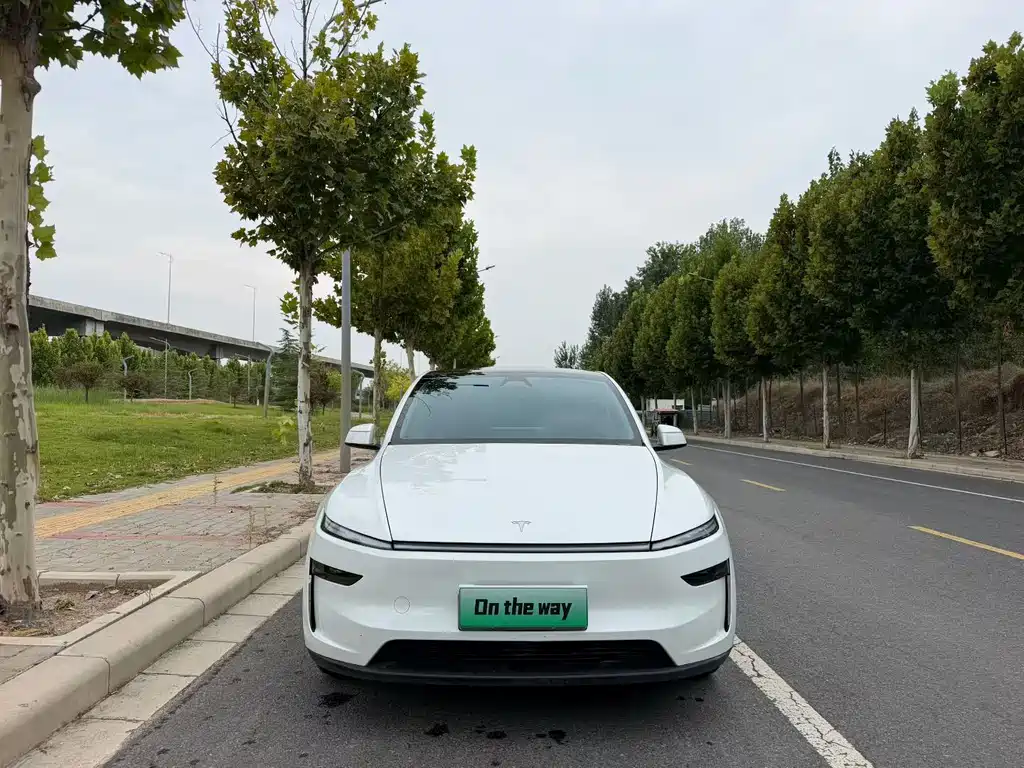Tesla Model Y — миниатюра 2