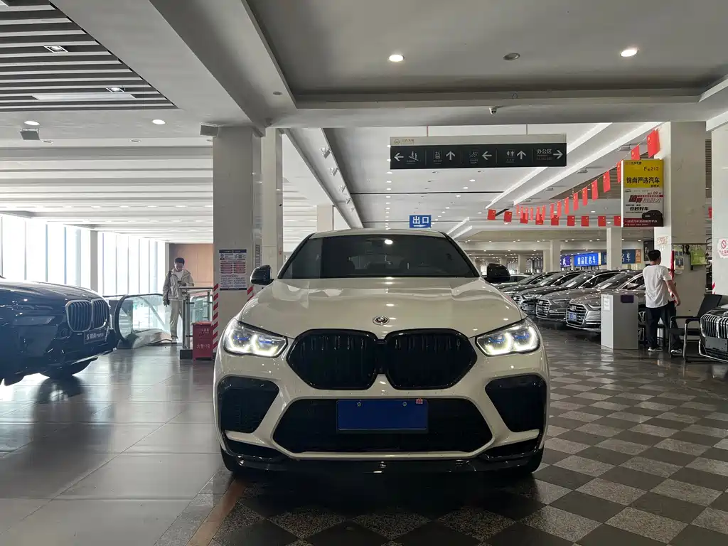 BMW X6 — миниатюра 2