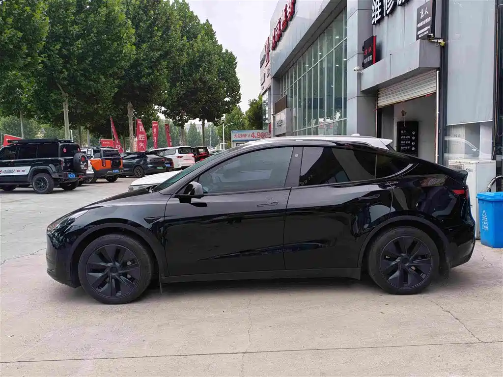 Tesla Model Y — миниатюра 3