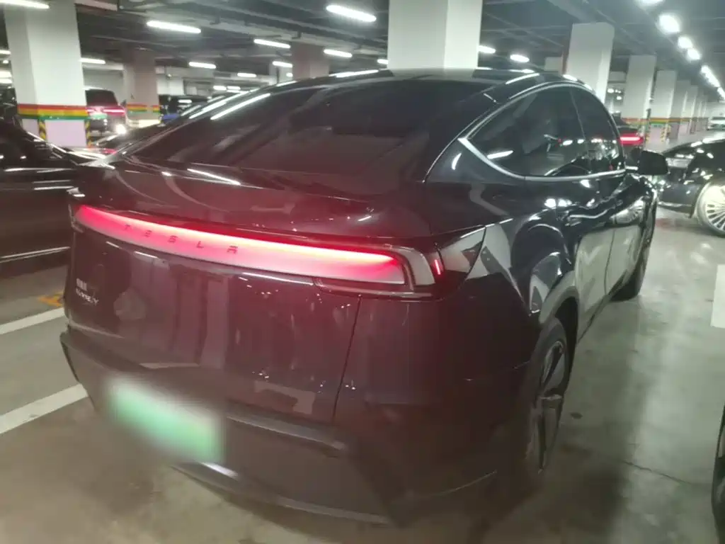 Tesla Model Y — миниатюра 7