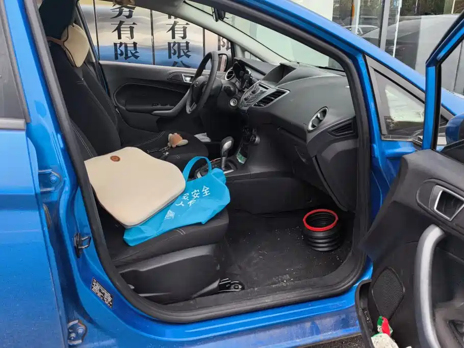 Ford Fiesta — миниатюра 8