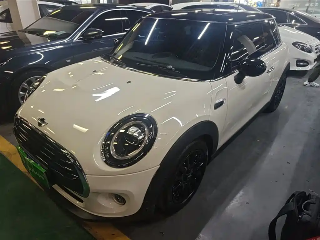Mini Mini 2020