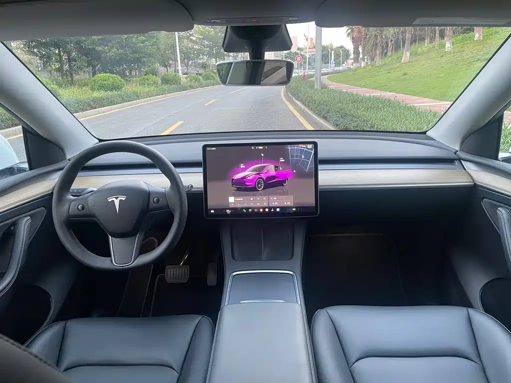 Tesla Model Y — миниатюра 9