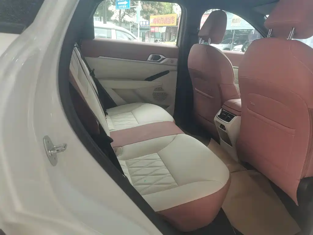 Haval Shenshou — миниатюра 5