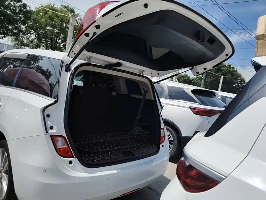 Buick GL6 — миниатюра 19