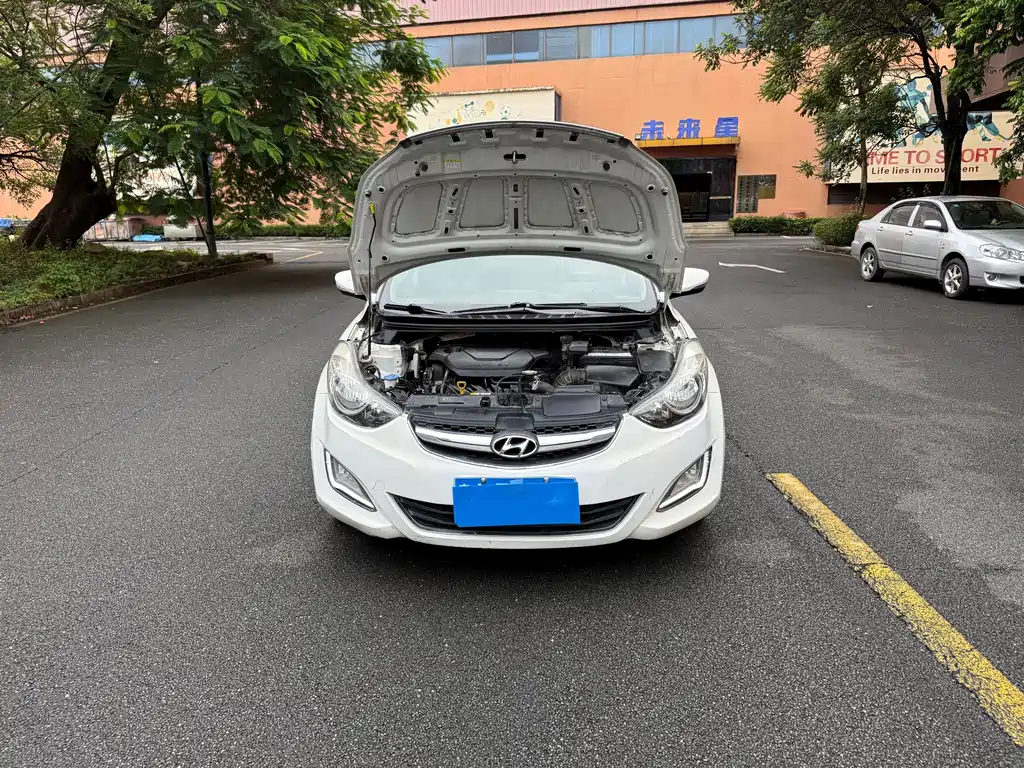 Hyundai Elantra Langdong — миниатюра 15