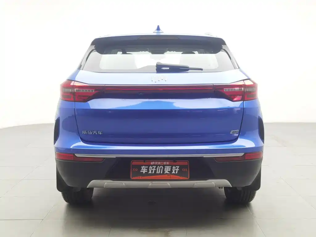 WM Motor EX5 — миниатюра 4