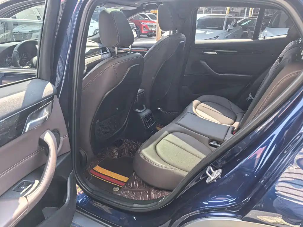 BMW X2 2020 sDrive25i Lead M