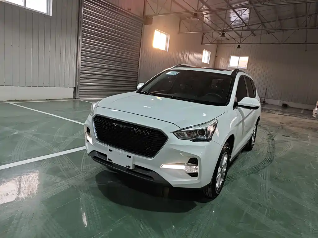 HAVAL M6