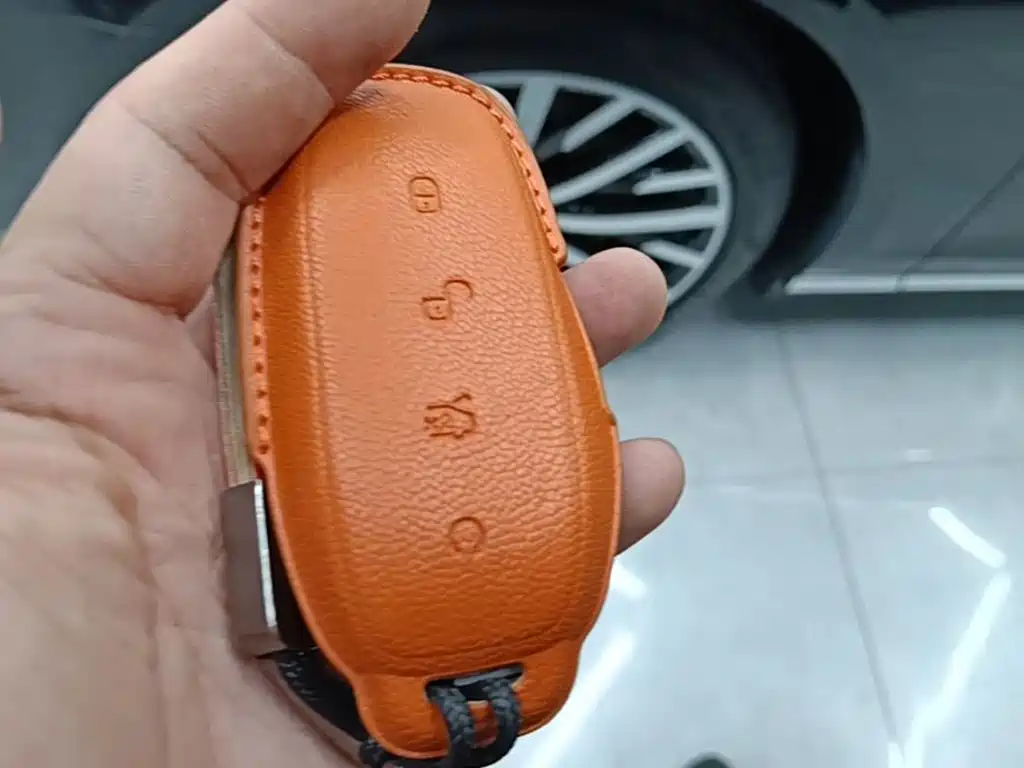 Denza Denza N8L — миниатюра 9