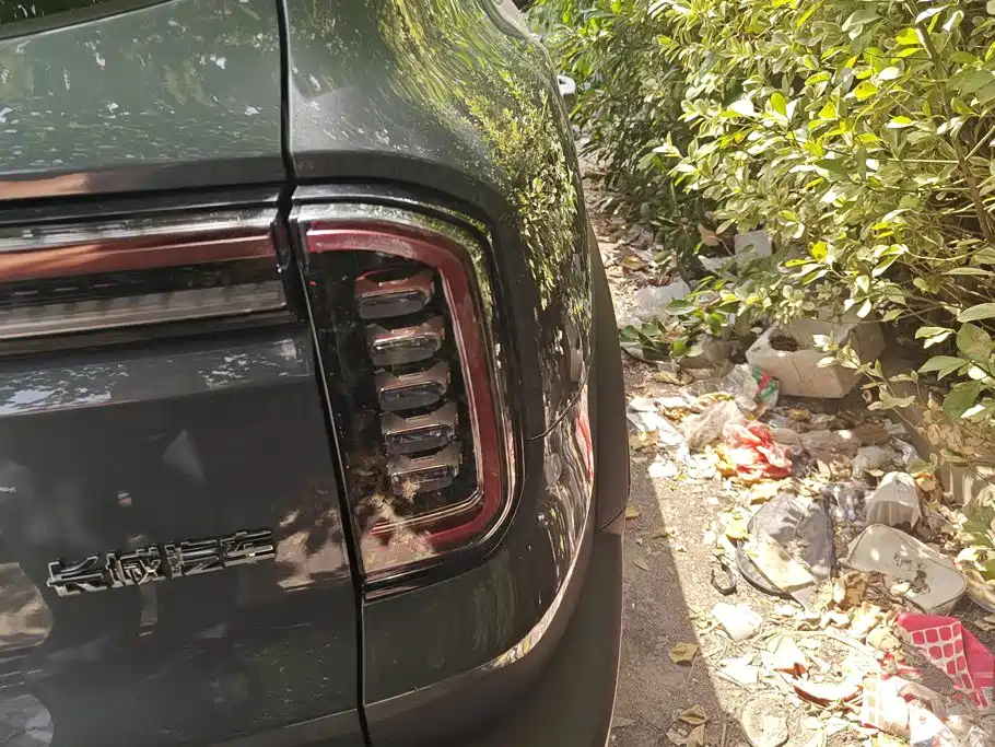 Haval Big Dog — миниатюра 3
