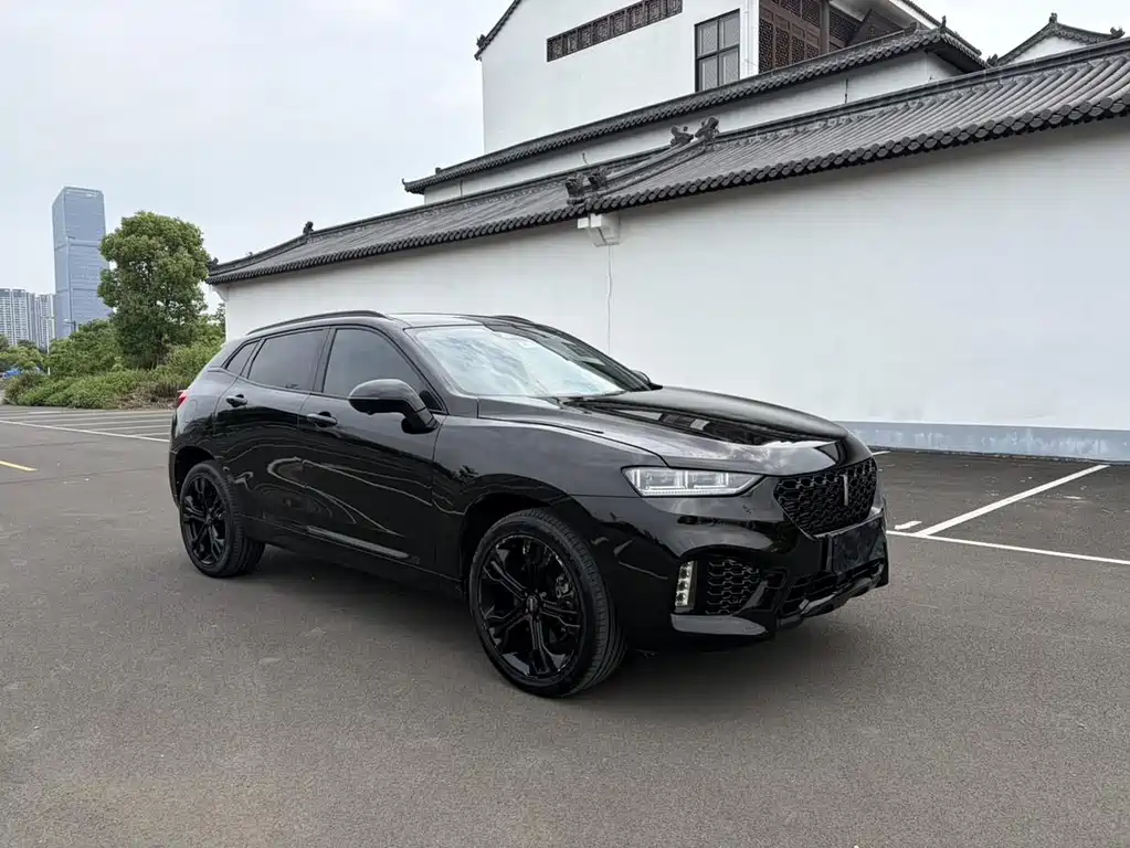 Wey Wey VV7 — миниатюра 3